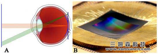 Microsoft developed a curved camera sensor, the image is not the usual sharp_hjhb861.com