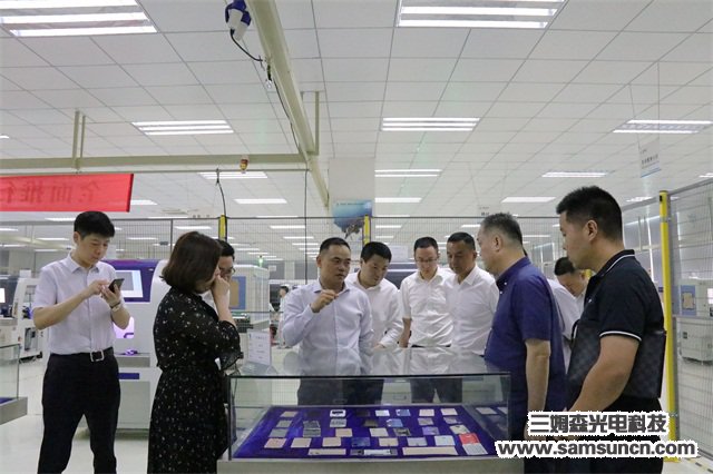 Leaders of Mudou Town, Jiangsu Province visited Samson Technology_hjhb861.com